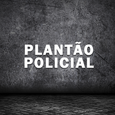 Criminosos invadem transportadora e roubam 10 armas de fogo em Caxias do Sul