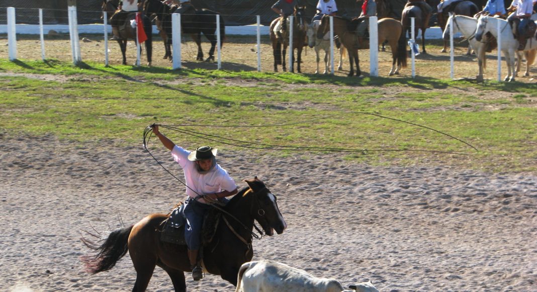 Rodeio Crioulo Estadual movimenta o Parque da Fenachamp
