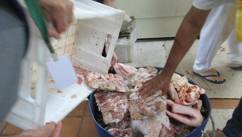 Fotos: Ministério Público/Divulgação