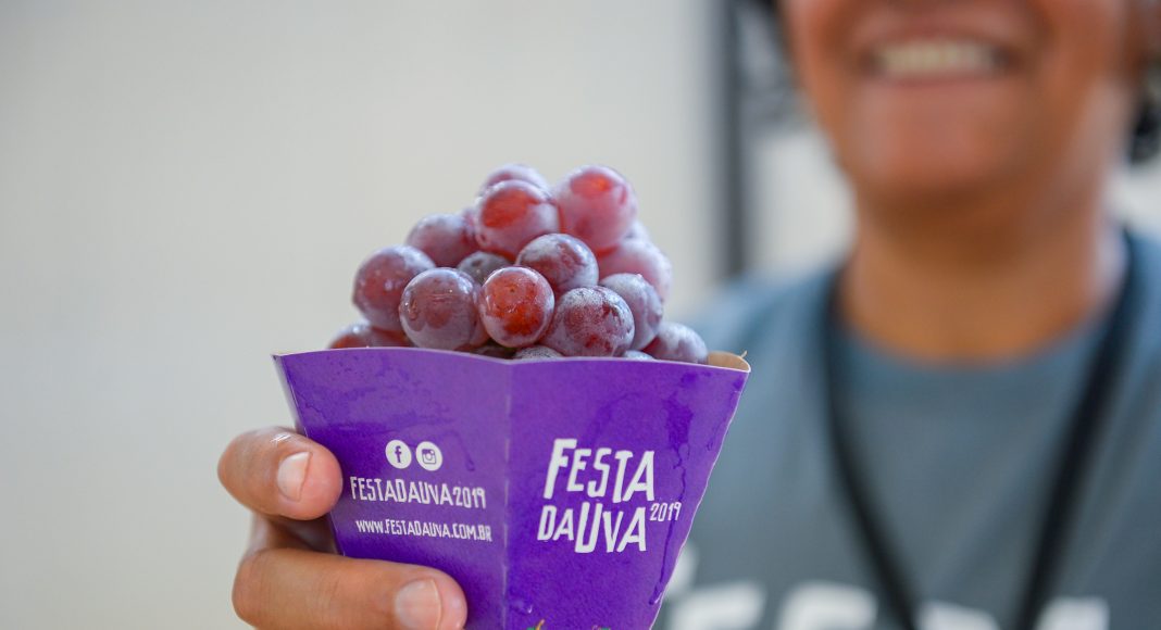 Mais de 13 mil kg de uva são distribuídos no final de semana na Festa da Uva