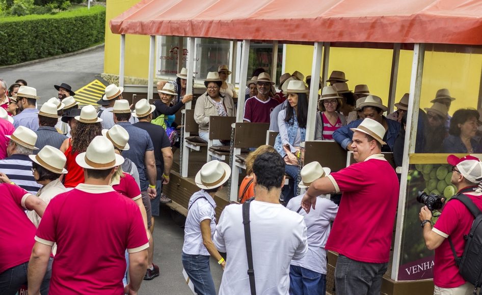 Dia do Vinho Brasileiro 2019 será lançado em Monte Belo do Sul