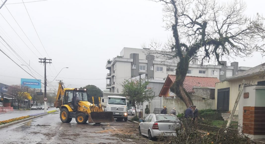 Árvore cai e causa danos em veículo e na rede elétrica, no centro de Garibaldi