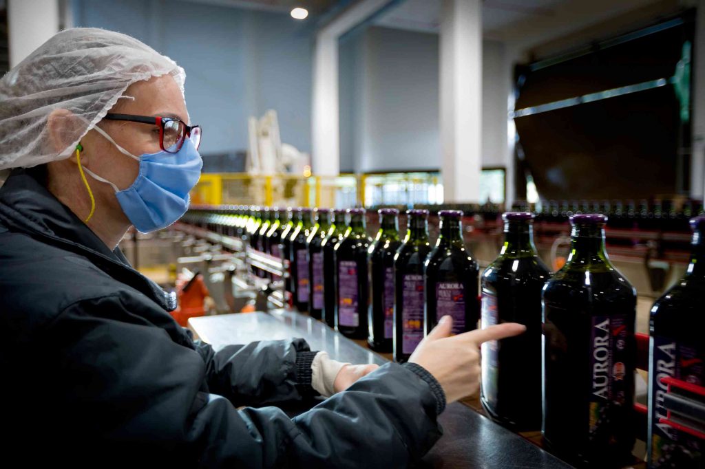 Preço médio por litro vendido de produtos vinícolas aumentou quase 30%, com maior crescimento nas comercializações de suco de uva. Crédito: André Majola
