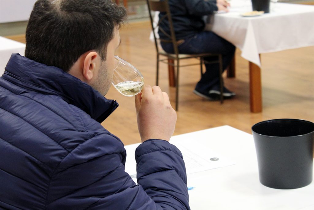 Divulgação dos melhores vinhos, espumantes e sucos de Garibaldi confirma ano de safra histórica