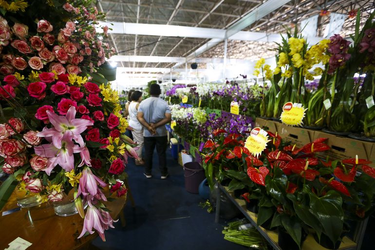 Foto: Marcelo Camargo/ Agência Brasil