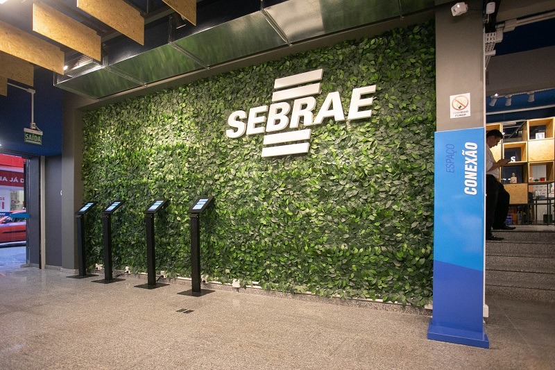 Sebrae RS oferece 25 bolsas para acelerar startups gaúchas