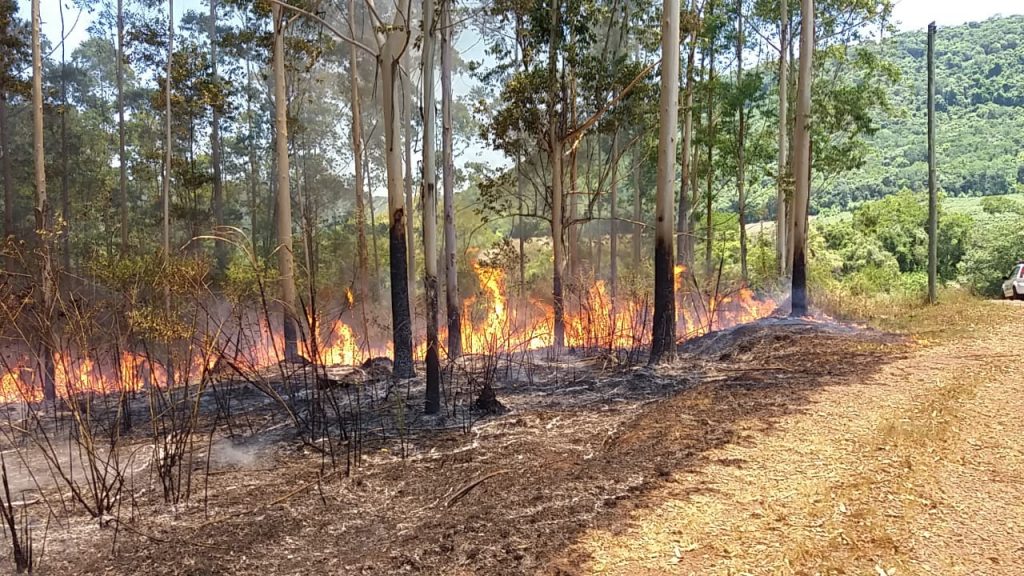 Imagem: Corpo de Bombeiros de Bento Gonçalves