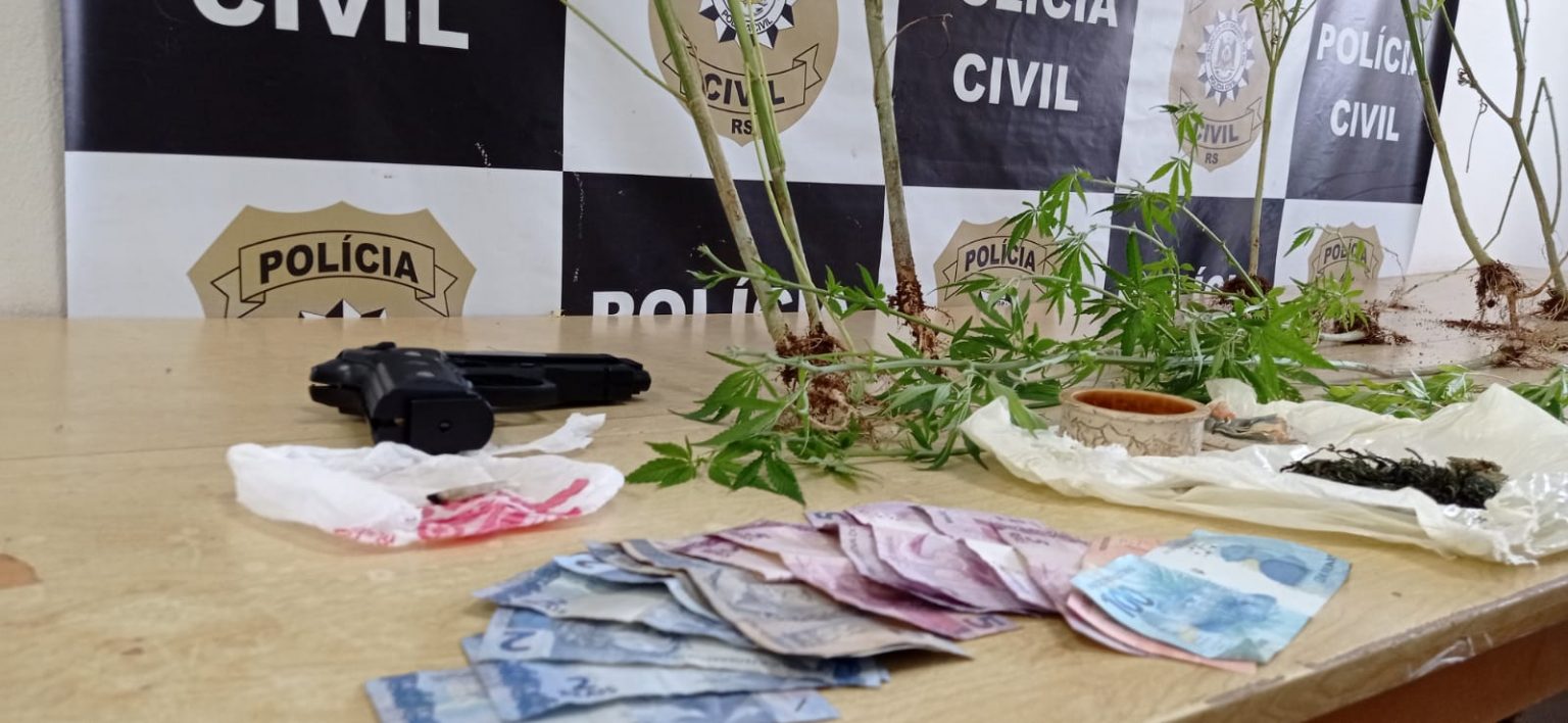 Polícia Civil localiza plantação de maconha em Vacaria