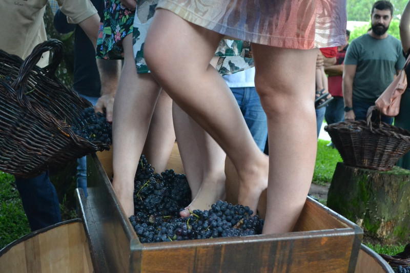 (Foto: Alexandra Ungaratto) 