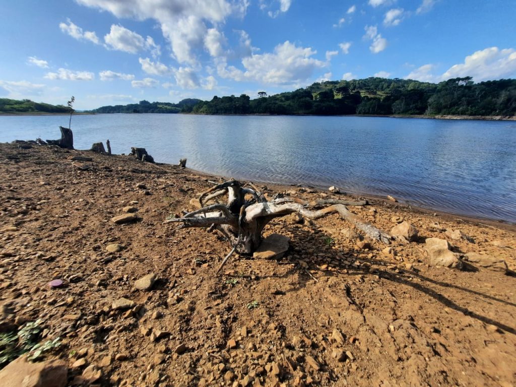 Foto: Guarda Municipal / Divulgação