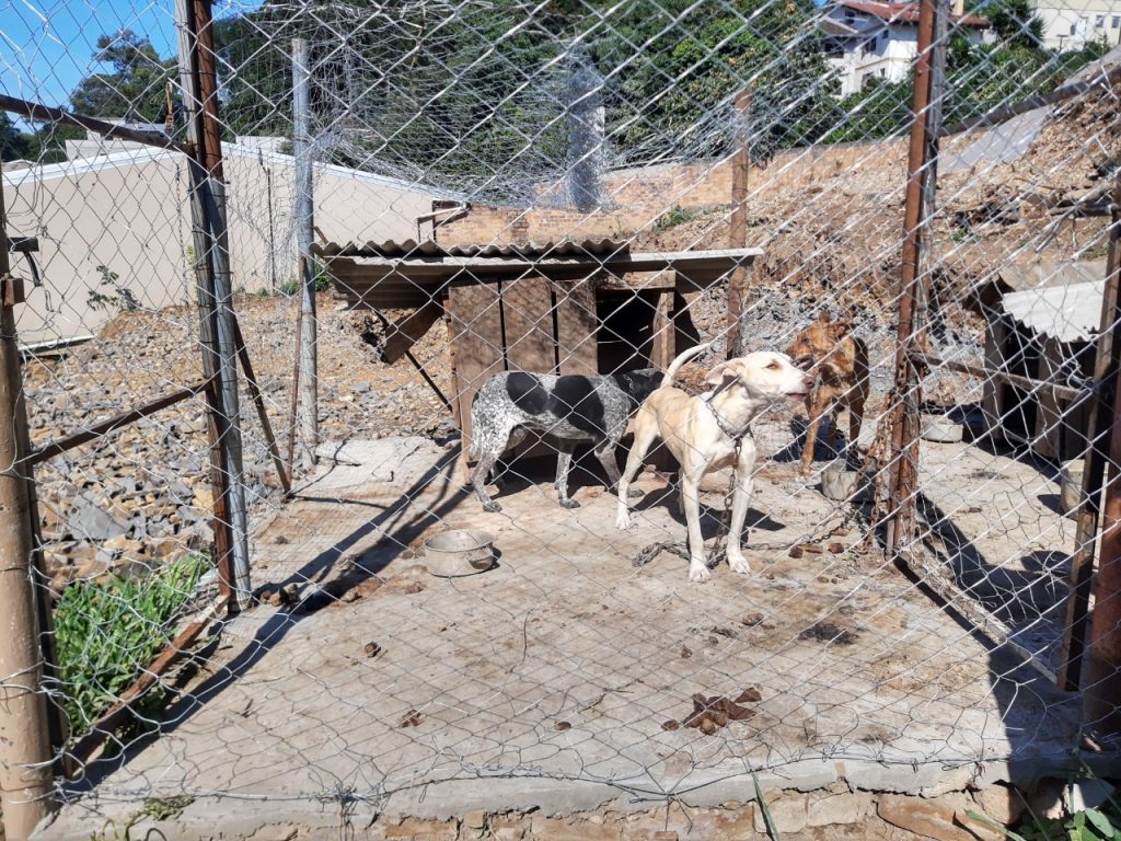 Imagem: 3° Pel-3°BABM/Bento Gonçalves