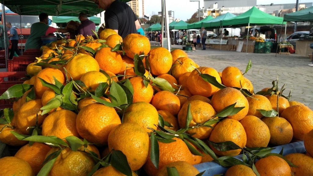 (Foto: Maique Kochenborguer/Divulgação)