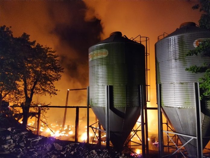 Mais de 10 mil aves morrem em incêndio de aviário no interior de Nova Bréscia