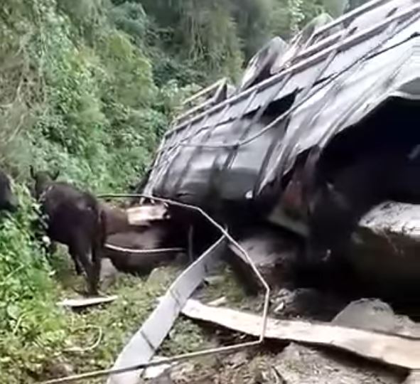 Caminhão carregado com gado tomba na BR-116, em São Marcos