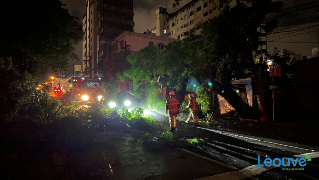 Queda de árvore danifica carros e deixa bairros sem luz na área central de Caxias