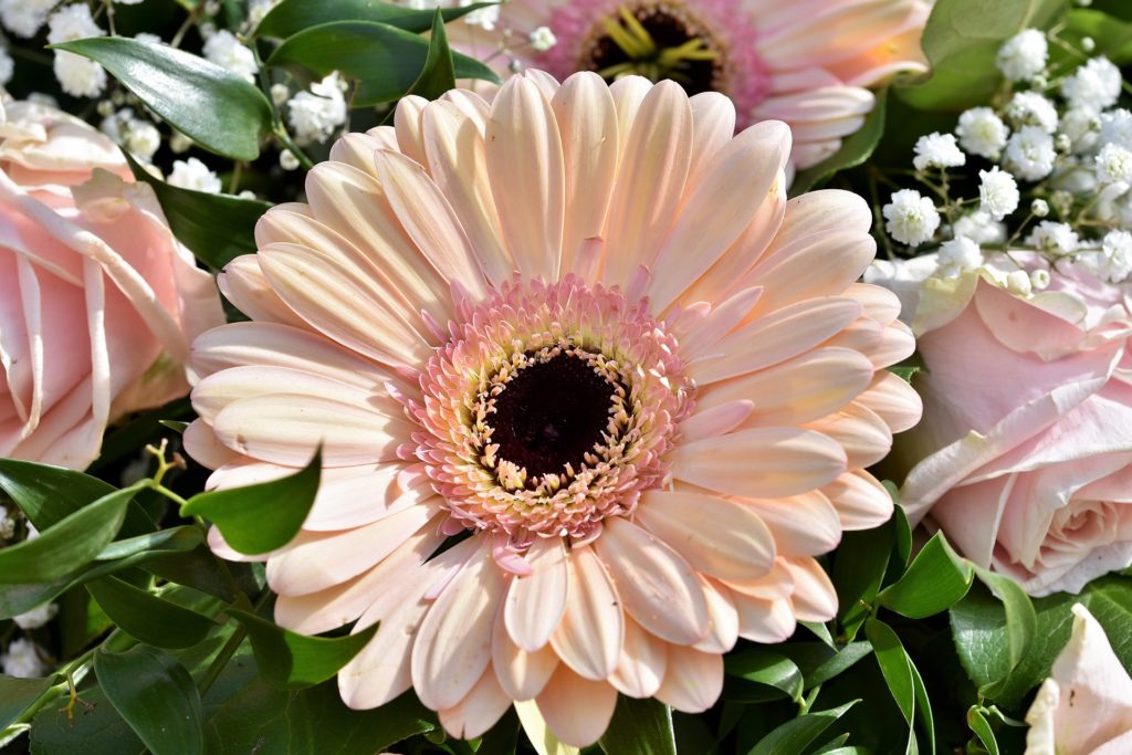 Estão abertas as inscrições para vendas de flores nos cemitérios
