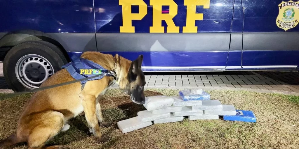 Polícia apreende mais de R$ 1 milhão em cocaína na BR-290, em Gravataí