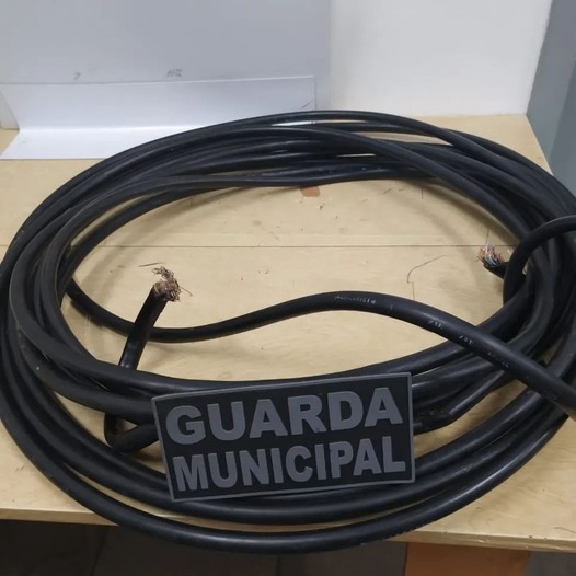 Objetivo do criminoso era vender o cobre dos fios (Foto: Divulgação)