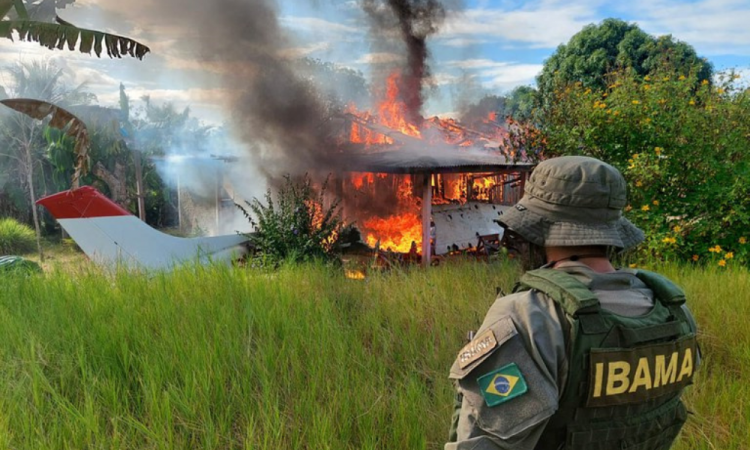 (Foto: Divulgação/Ibama)