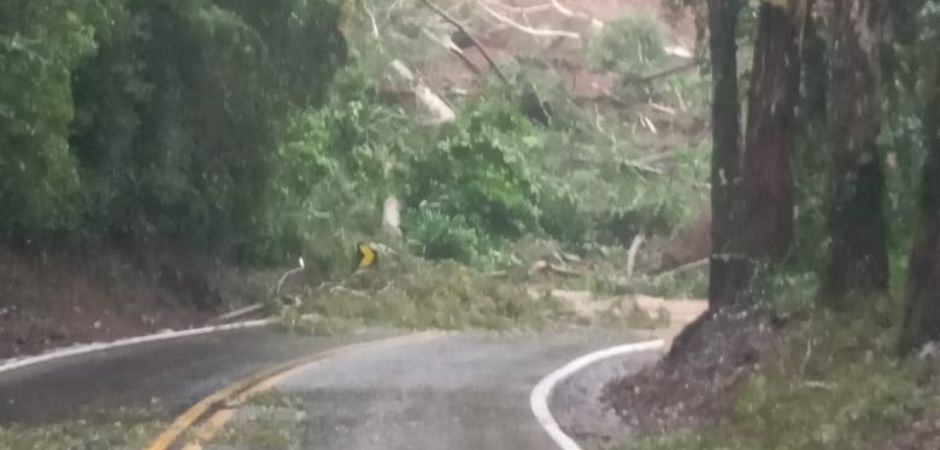 BR-116 entre Caxias e Nova Petrópolis totalmente bloqueada