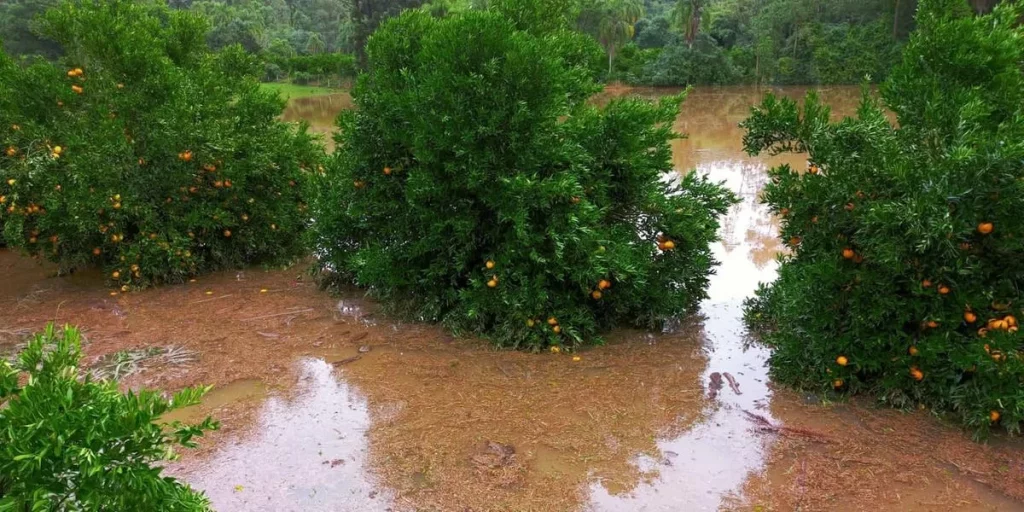 RS: ciclone extratropical inunda e destrói pomares, hortas e estufas