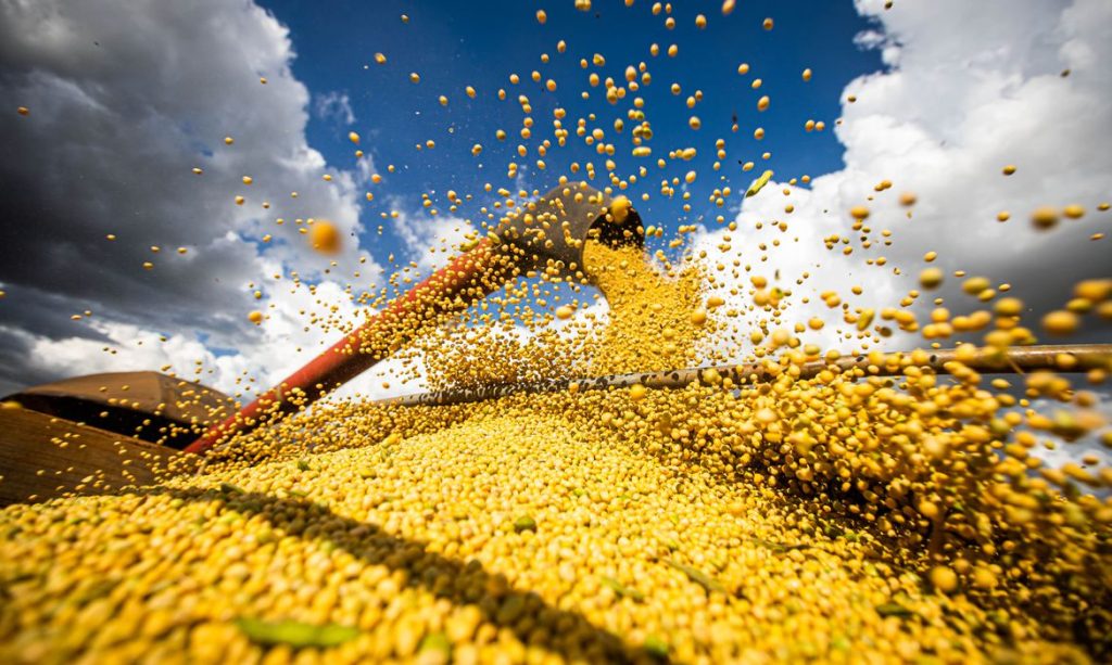 Em safra recorde Brasil fatura R$ 1,13 trilhão em 2023. (Foto: Wenderson Araujo/Trilux)