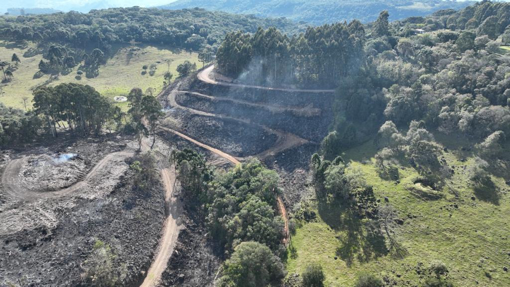 Polícia Ambiental flagra queima de 30 hectares de vegetação no interior de Caxias
