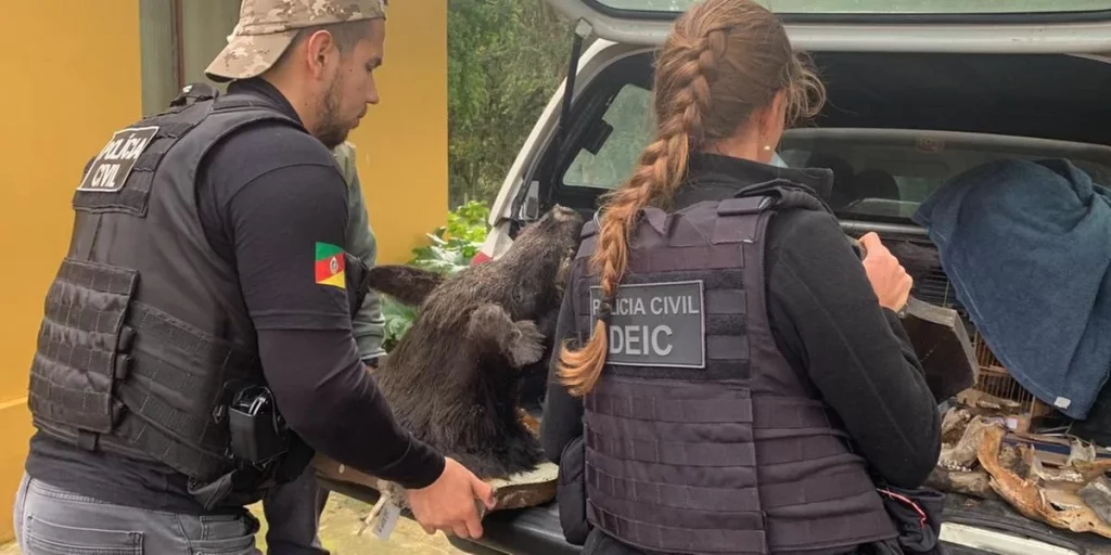 Caçadores de javalis são alvo de operação da Polícia Civil e Secretaria Estadual do Meio Ambiente