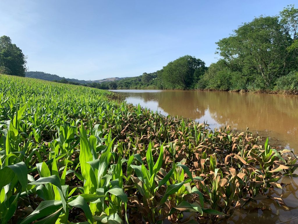 Governo gaúcho divulga último levantamento do impacto das chuvas na produção rural