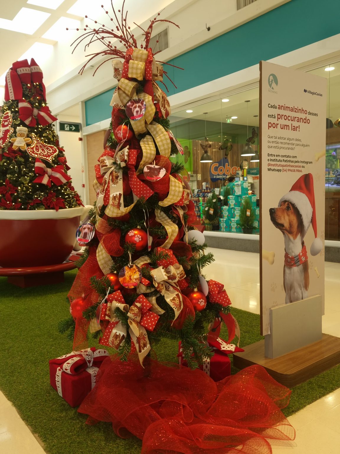 Shopping Villagio Caxias desenvolve ações sociais de Natal para gerar conexão com diferentes consumidores