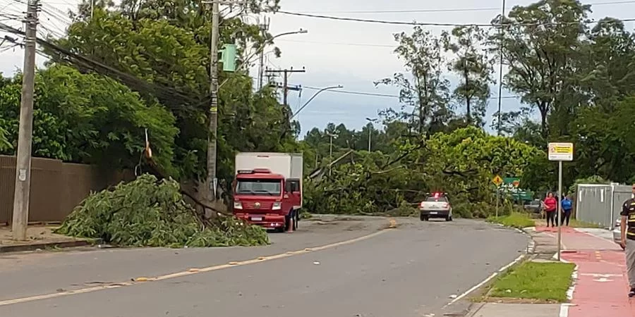 Temporal forte provoca uma morte em Cachoeirinha