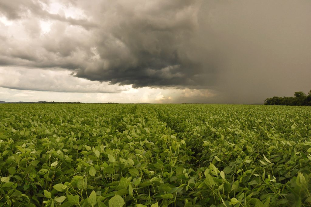 Umidade e chuva marcam a próxima semana no Rio Grande do Sul