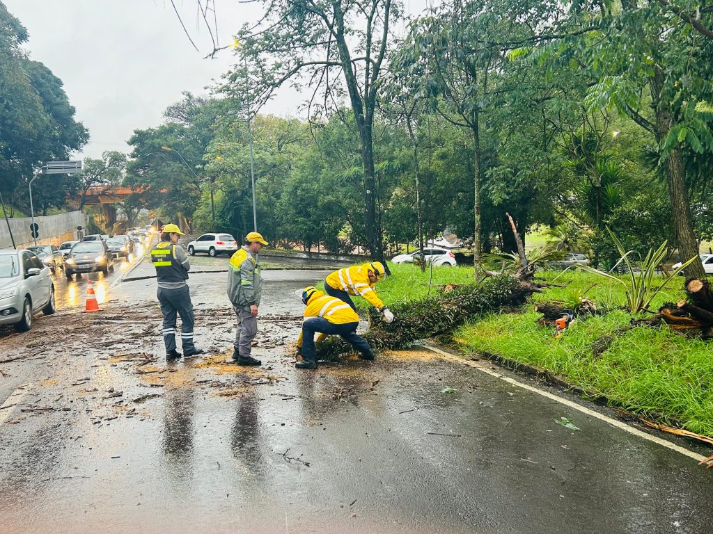 Enquanto autoridades calculam prejuízos, chuva não dá trégua em Caxias do Sul