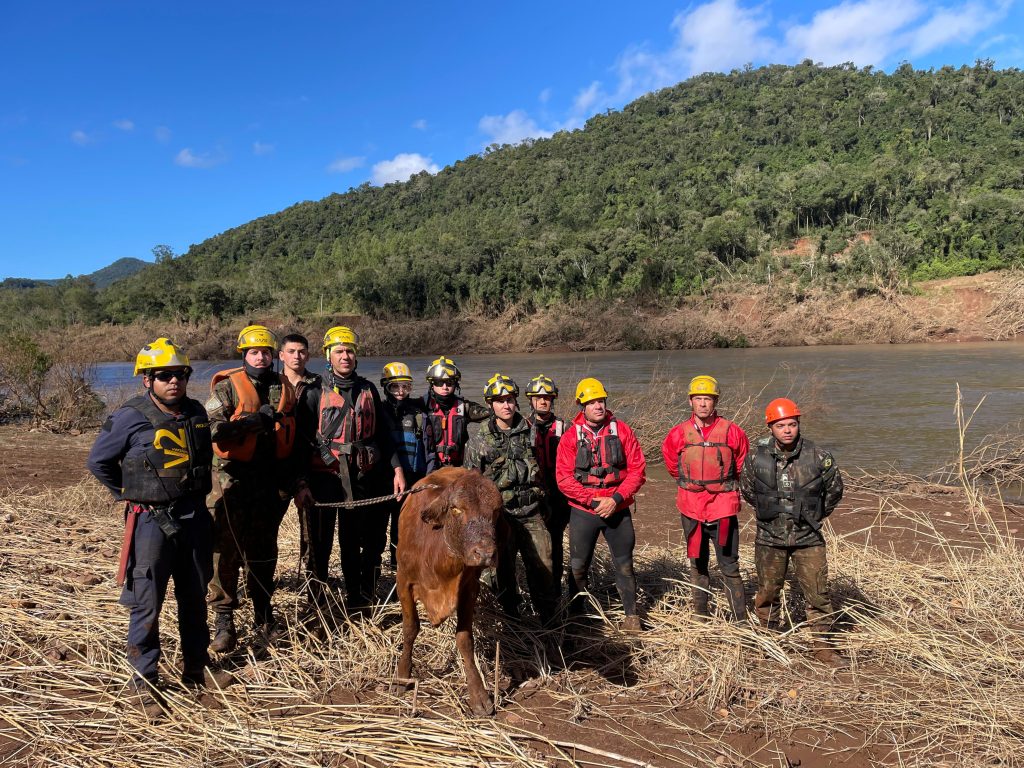 Foto: Corpo de Bombeiros
