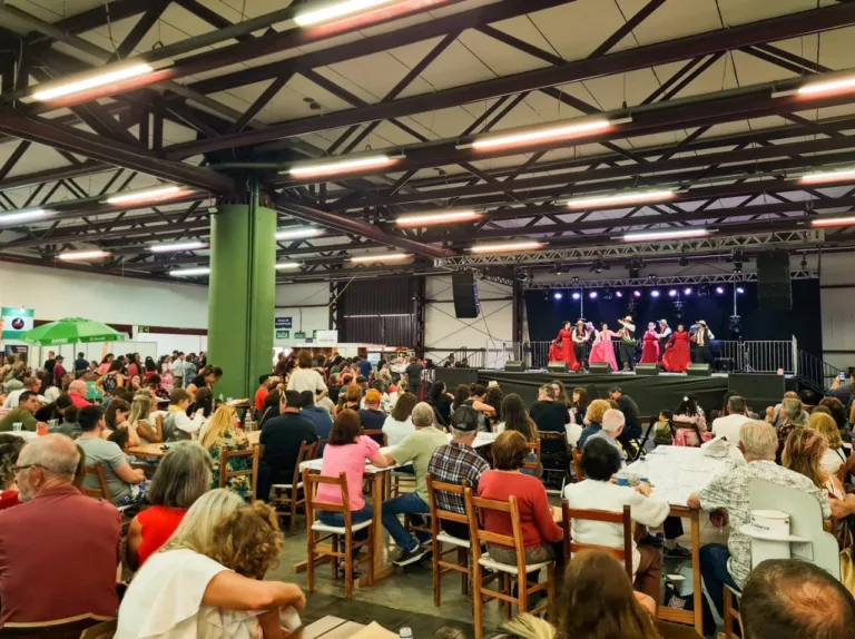 Caxias do Sul: Festa das Colheitas lança programa para qualificar artesãos e inicia credenciamento de projetos artísticos