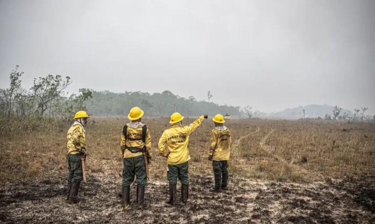 Foto: Mayangdi Inzaulgarat/Ibama/Divulgação