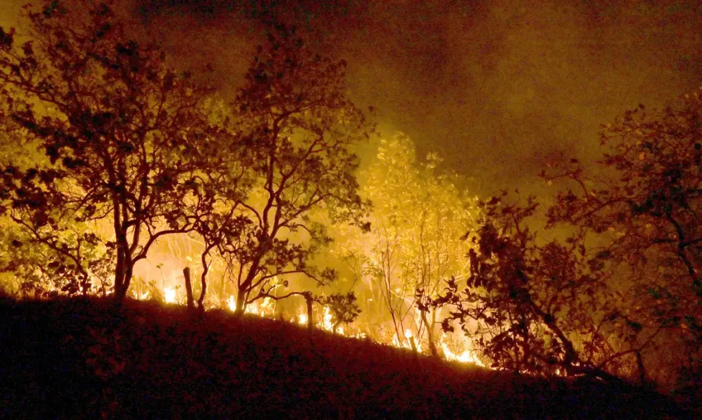 Foto: Jader Souza/Al Roraima/Divulgação