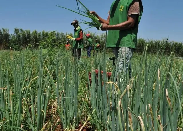 Foto: Valter Campanato/Agência Brasil