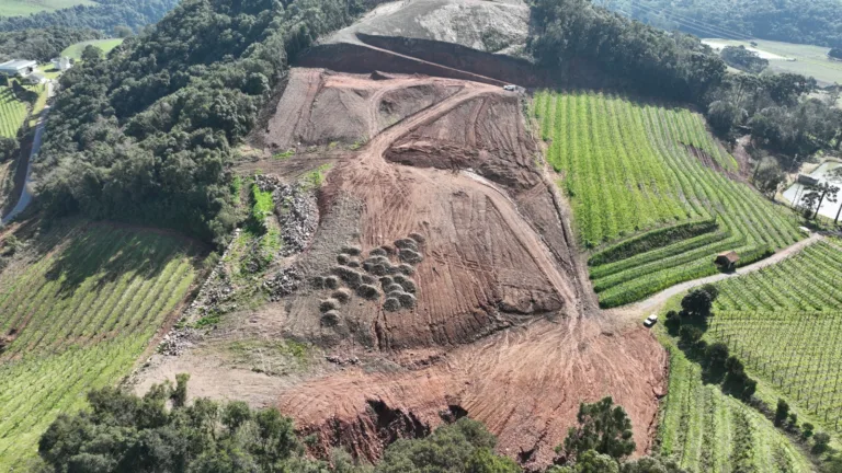 Ação da BM flagra desmatamento ilegal no interior de Farroupilha