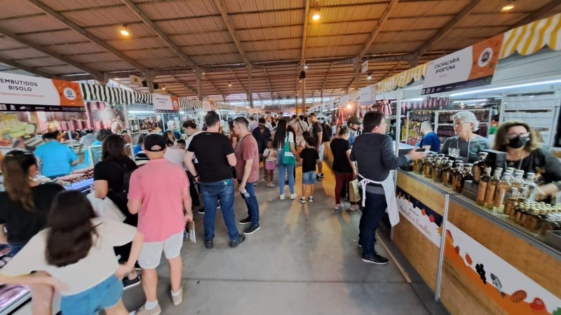 De gado a abelhas sem ferrão: pecuária e agroindústria de Caxias do Sul marcam presença na Expointer