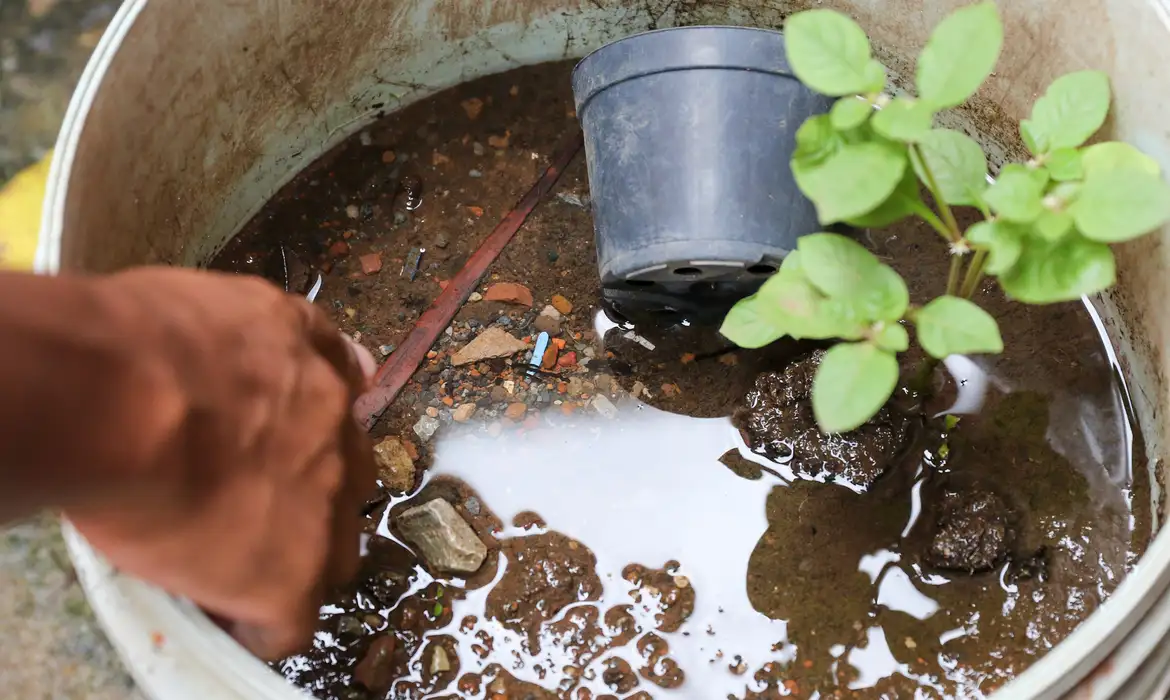 Brasil ultrapassa marca de cinco mil mortes por dengue em 2024