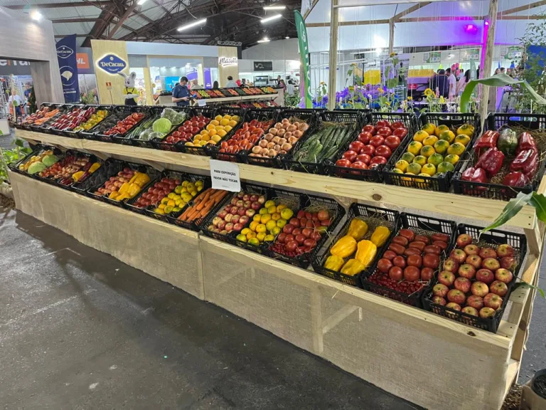 Feira inicia nesta sexta com três dias de intensa programação (Foto: Divulgação)