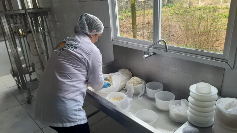 Tradicional produção de queijo artesanal na Queijaria São Francisco de Assis, em Bom Jesus (Foto: Rejane Paludo)