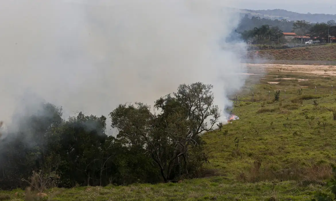 Incêndios atingem mais de 30 cidades no interior de São Paulo