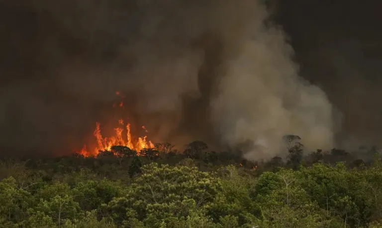 Incêndios florestais