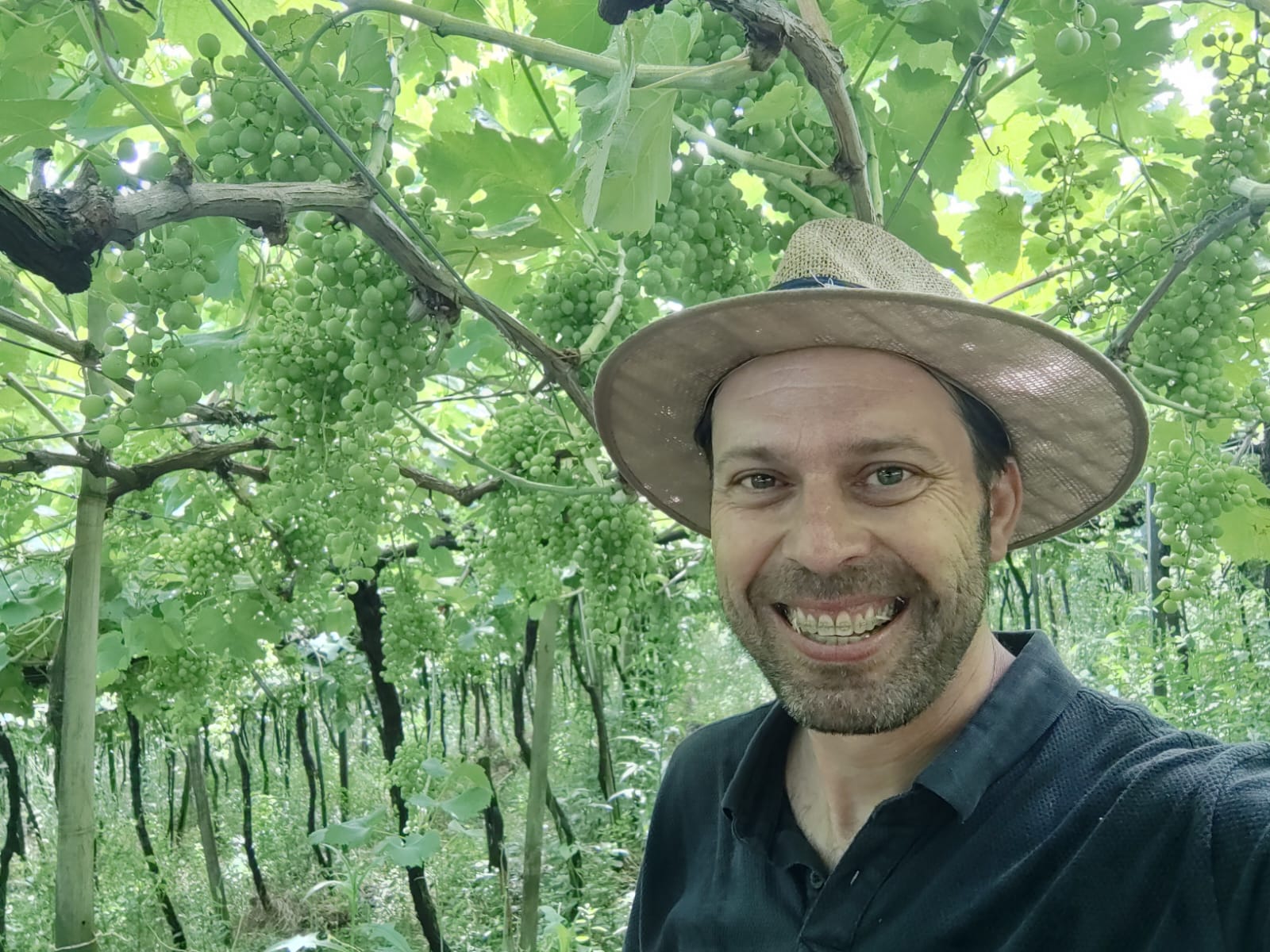 Expoagro terá mas de 15 horas de palestras técnicas em Antônio Prado