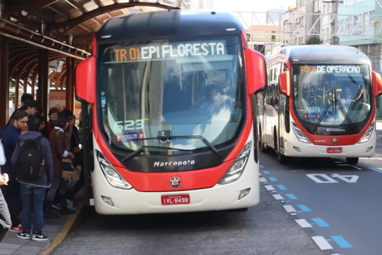 Ônibus terão gratuidade de tarifa durante o domingo