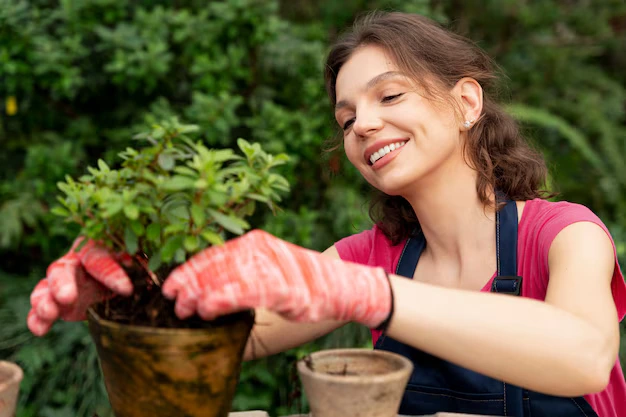 PLANTAS PARA ATRAIR PROSPERIDADE