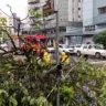 Chuva e vento provocam estragos em Caxias do Sul