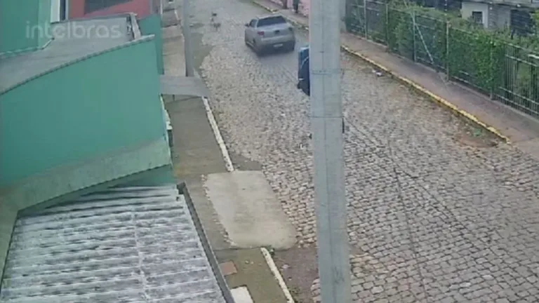 Polícia identifica motorista que matou cachorro atropelado no Centro de Vacaria